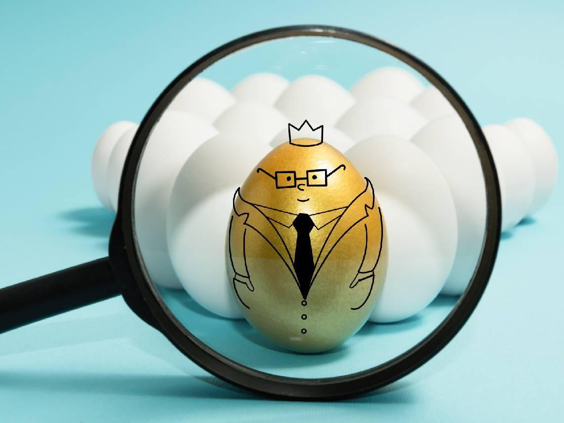 00923配息1.71元，除息日發息日出爐！年化配息率12%...績效贏大盤、同屬市值型，和0050差在哪